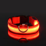 Nylon LED Night Safety Flashing Glow