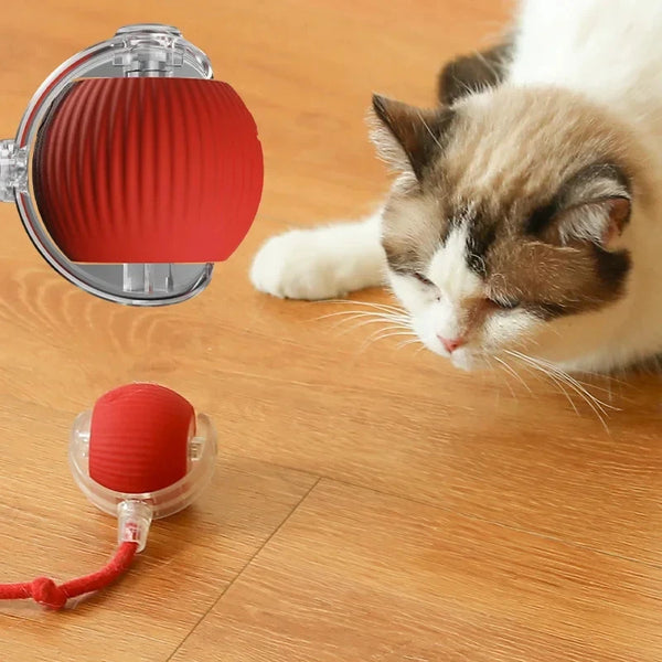 Cat toy ball self hi ball teasing cat