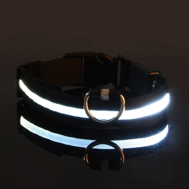 Nylon LED Night Safety Flashing Glow