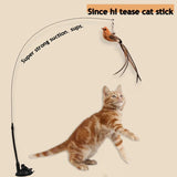 Simulated Bird Cat Toys