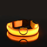 Nylon LED Night Safety Flashing Glow