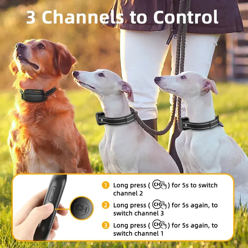 ROJECO Electric Dog Training Collar