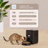 2L Automatic Pet Feeder Smart Food Dispenser For Cat And Dog Regular Quantitative Feeding With Record Feeding Bowl Pet Supplie