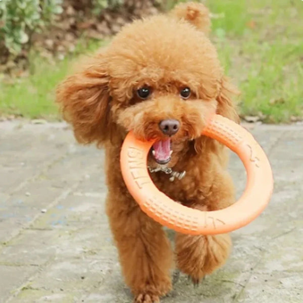 Orange Dog Toys Pet Flying Disk