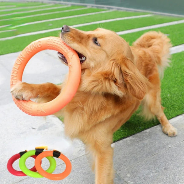 Orange Dog Toys Pet Flying Disk